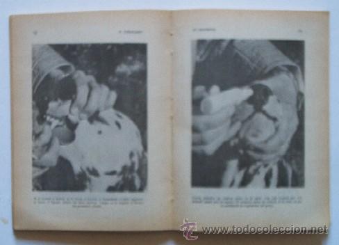 Libros de segunda mano: EL DALMATA - Foto 4