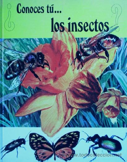 Libros de segunda mano: LOS INSECTOS - Foto 2