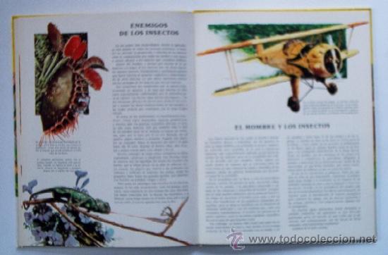Libros de segunda mano: LOS INSECTOS - Foto 7