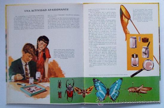 Libros de segunda mano: LOS INSECTOS - Foto 8