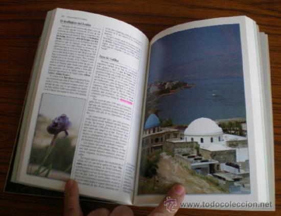 Libros de segunda mano: ISRAEL .. Los libros del viajero 1992 - Foto 4