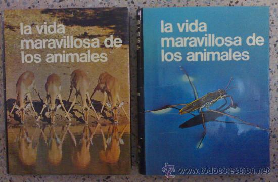Libros de segunda mano: LA VIDA MARAVILLOSA DE LOS ANIMALES. - Foto 1