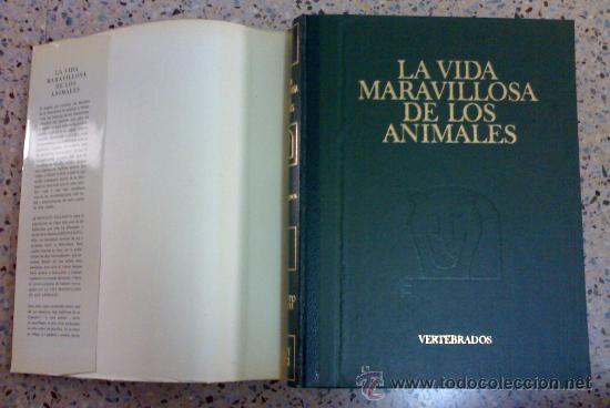 Libros de segunda mano: LA VIDA MARAVILLOSA DE LOS ANIMALES. - Foto 3