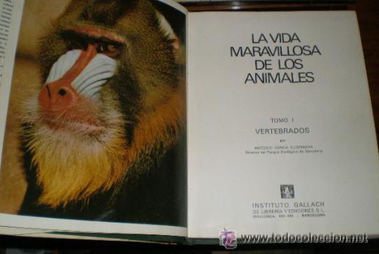 Libros de segunda mano: LA VIDA MARAVILLOSA DE LOS ANIMALES. - Foto 5