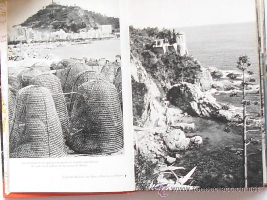 Libros de segunda mano: Costa Brava, por Jos&eacute; Batll&oacute;. (A&ntilde;o 1970) - Foto 5
