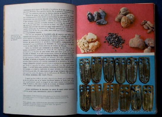 Libros de segunda mano: MASADA - LA FORTALEZA DE HERODES Y EL ULTIMO BASTION DE LOS ZELOTES - Foto 4