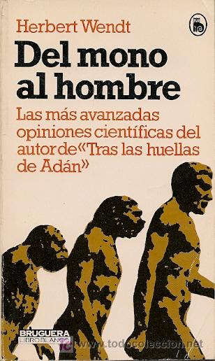 Libros de segunda mano: *EVOLUCI&Oacute;N *  Del mono al hombre / Herbert Wendt - Foto 1