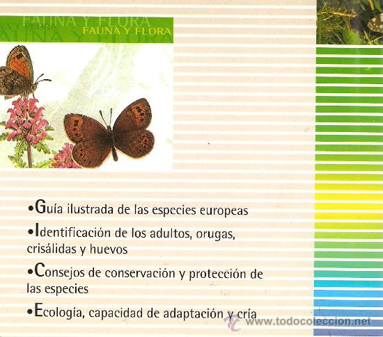 Libros de segunda mano: MARIPOSAS - FANTASTICA GUIA ILUSTRADA - Foto 2