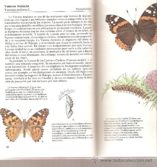 Libros de segunda mano: MARIPOSAS - FANTASTICA GUIA ILUSTRADA - Foto 3