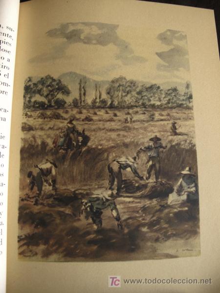 Libros de segunda mano: RETABLO. VICTOR CATAL&Agrave;. EDICI&Oacute;N ILUSTRADA Y NUMERADA - Foto 5