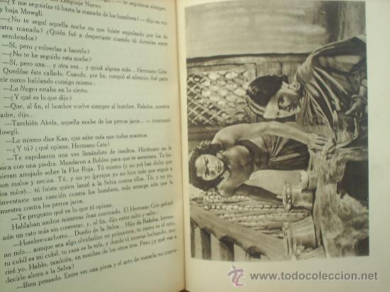 Libros de segunda mano: el libro de las tierras virgenes,1944, RUDYARD KIPLING EDITORIAL GILI - Foto 8