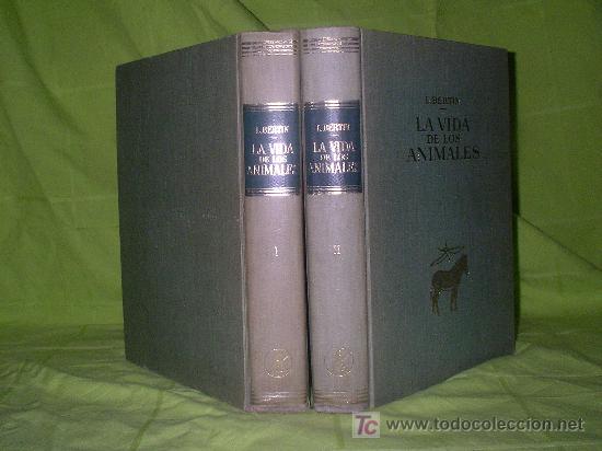 Libros de segunda mano: LA VIDA DE LOS ANIMALES - LEON BERTIN - BELLAMENTE ILUSTRADOS. - Foto 1