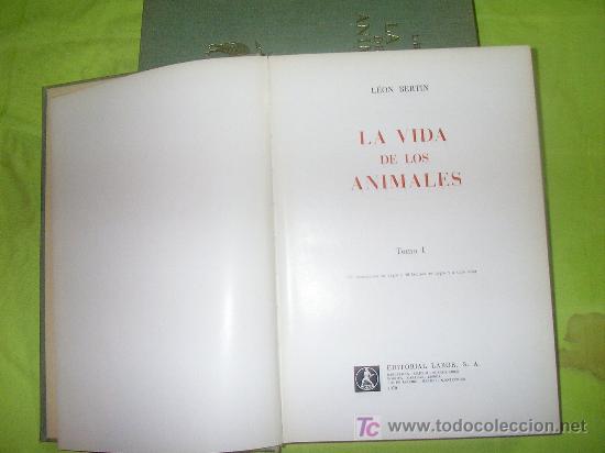 Libros de segunda mano: LA VIDA DE LOS ANIMALES - LEON BERTIN - BELLAMENTE ILUSTRADOS. - Foto 2