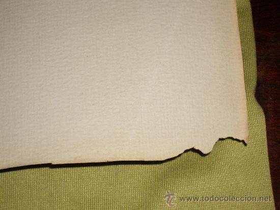 Libros de segunda mano: LA CELLULOSA- MARIO LENSI - Foto 3