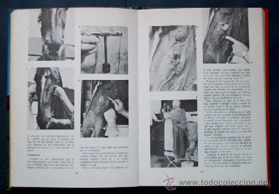 Libros de segunda mano: TODO SOBRE LOS CABALLOS - ED. FHER - Foto 4