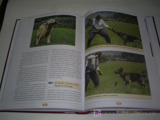 Libros de segunda mano: Gran libro del Entrenamiento de tu Perro Servilibro 2009 RM44822 - Foto 2