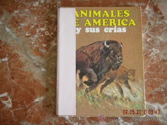 Libros de segunda mano: ANIMALES DE AM&Eacute;RICA Y SUS CRIAS - EDITORIAL FHER, S.A., 1975.