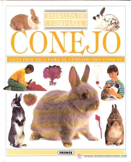 Libros de segunda mano: LIBRO - GUIA PRACTICA PARA EL CUIDADO DEL CONEJO - SUSAETA - 1993 - Foto 1