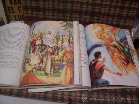 Libros de segunda mano: BIBLIA JUVENIL - 1988 - ILUSTRACIONES : COLLADO - Foto 2