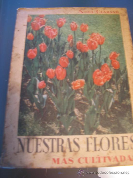Libros de segunda mano: NUESTRAS FLORES MAS CULTIVADAS.-  NOEL CLARASO - Foto 1