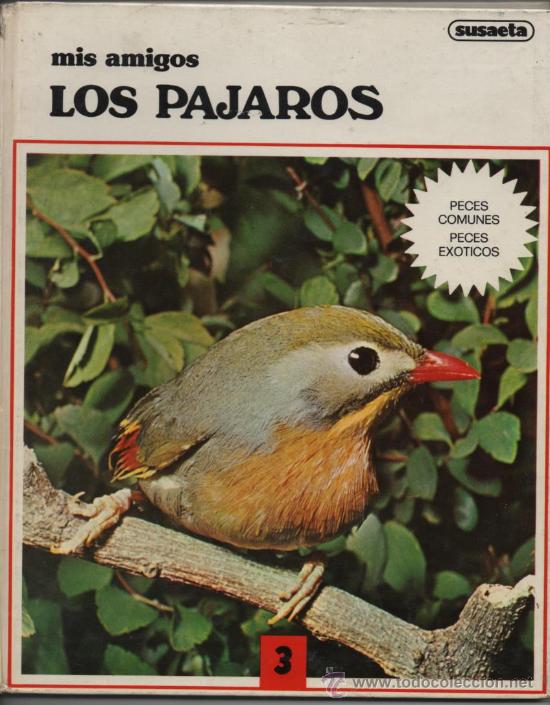 Libros de segunda mano: MIS AMIGOS LOS P&Aacute;JAROS . SUSAETA .1975 - Foto 1
