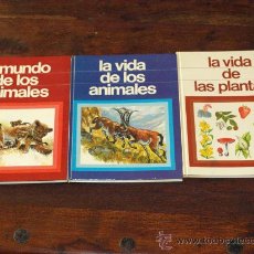 Libros de segunda mano: 3 LIBROS DE A.SHEEHAN:EL MUNDO DE LOS ANIMALES,LA VIDA DE LOS ANIMALES Y LA VIDA DE LAS PLANTAS . Lote 26335064
