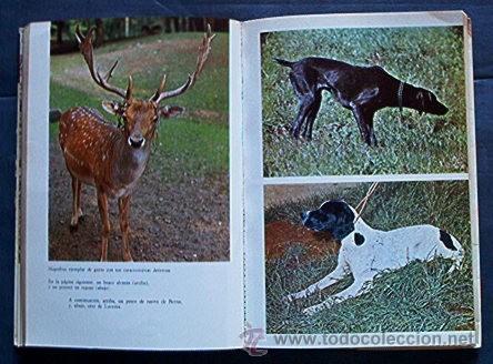 Libros de segunda mano: GUIA PRACTICA PARA LA CAZA - Foto 5