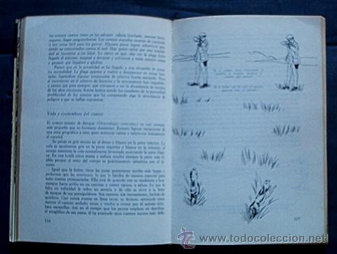 Libros de segunda mano: GUIA PRACTICA PARA LA CAZA - Foto 6