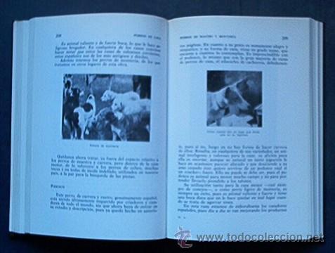 Libros de segunda mano: PERROS DE CAZA - Foto 3
