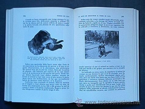Libros de segunda mano: PERROS DE CAZA - Foto 4
