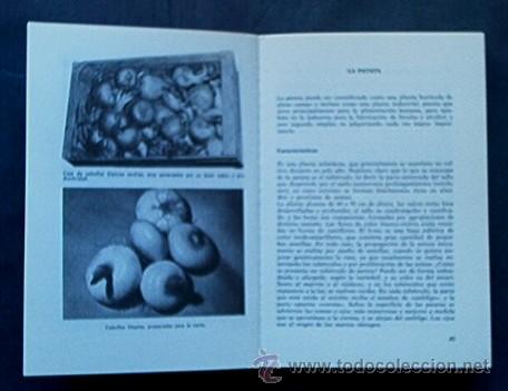 Libros de segunda mano: EL HUERTO Y EL JARDIN - Foto 4