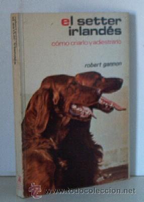 Libros de segunda mano: EL SETTER IRLANDES - Foto 1