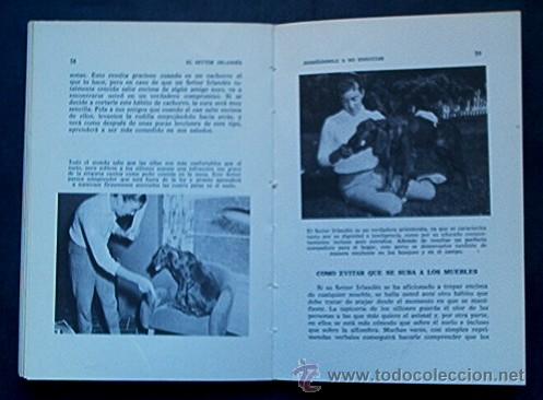 Libros de segunda mano: EL SETTER IRLANDES - Foto 4