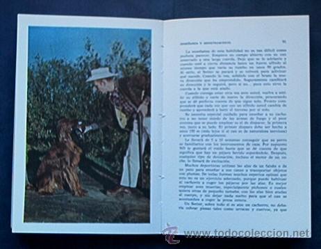 Libros de segunda mano: EL SETTER IRLANDES - Foto 5