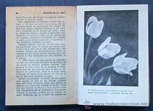 Libros de segunda mano: MI JARDIN Y MIS FLORES - Foto 5