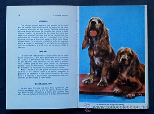 Libros de segunda mano: EL COCKER SPANIEL - Foto 5