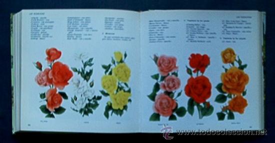 Libros de segunda mano: EL LIBRO EL JARDIN Y DE LA TERRAZA - Foto 5