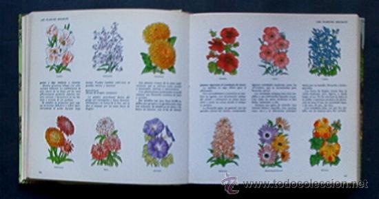Libros de segunda mano: EL LIBRO EL JARDIN Y DE LA TERRAZA - Foto 7