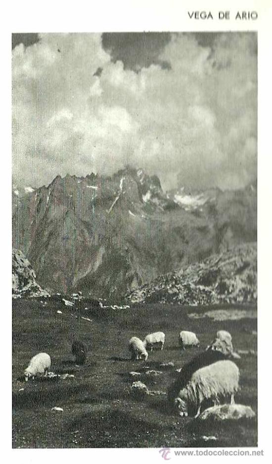 Libros de segunda mano: *Santuario de Nuestra Se&ntilde;ora de Covadonga - 1962 * Exposiciones * - Foto 3