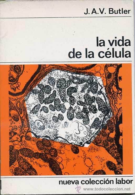 Libros de segunda mano: BUTLER : LA VIDA DE LA C&Eacute;LULA (LABOR, 1973) - Foto 1