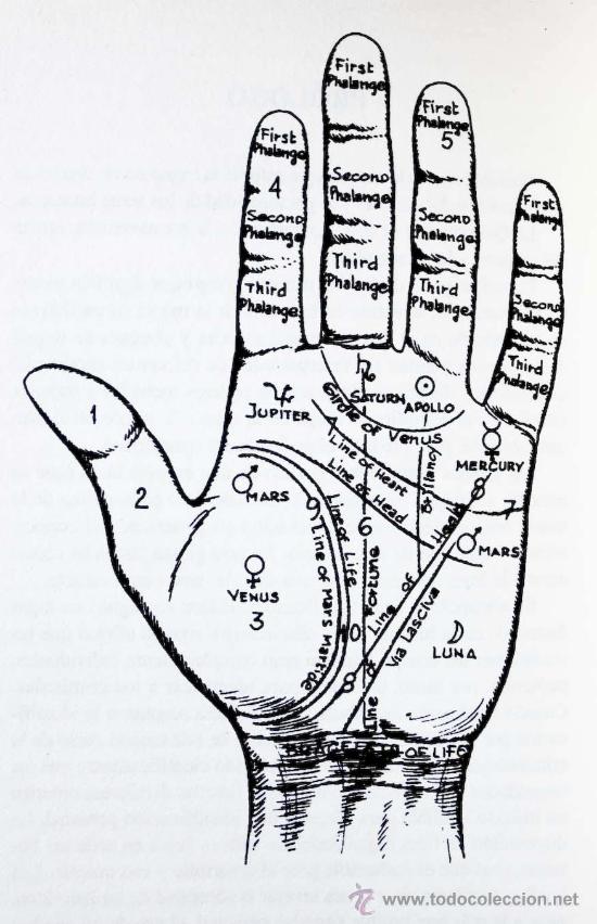 Libros de segunda mano: QUIROMANCIA. C&Oacute;MO ANALIZAR EL PODER DE LAS MANOS DR. LEONARD WOLF. MUY ILUSTRADO. - Foto 4
