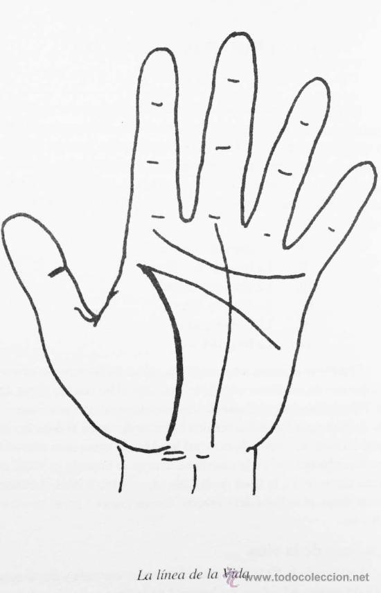Libros de segunda mano: QUIROMANCIA. C&Oacute;MO ANALIZAR EL PODER DE LAS MANOS DR. LEONARD WOLF. MUY ILUSTRADO. - Foto 6