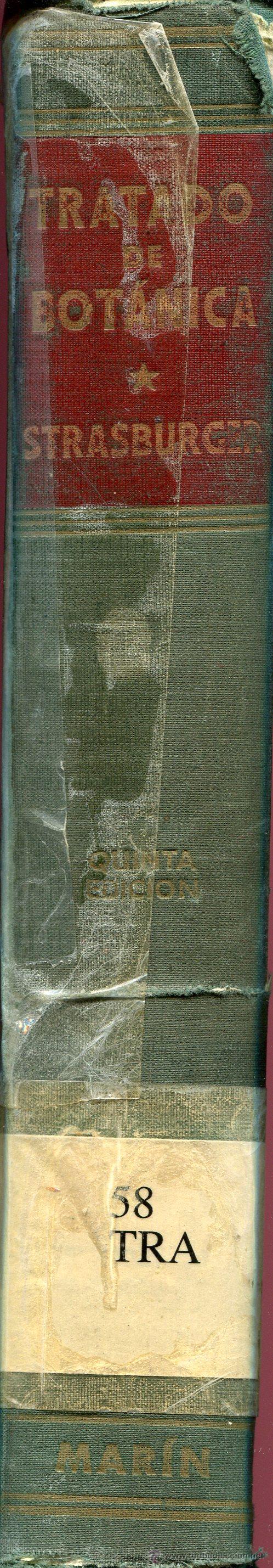 Libros de segunda mano: TRATADO DE BOTANICA   -- strasburger - Foto 2