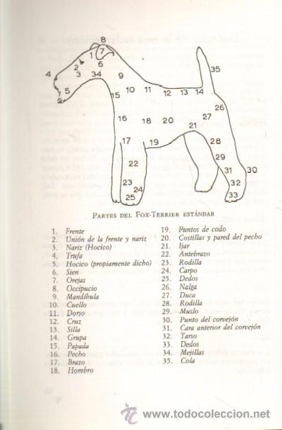 Libros de segunda mano: EL FOX-TERRIER. LOPEZ, GUILLERMO. ADOMES-0006 - Foto 2