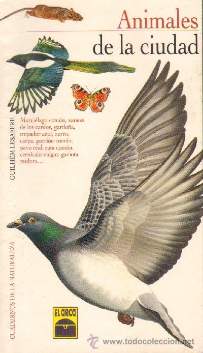 Libros de segunda mano: CUADERNOS DE LA NATURALEZA: ANIMALES DE LA CIUDAD (CI-118)