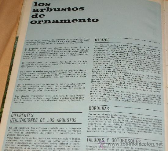 Libros de segunda mano: ARBUSTOS DE ORNAMENTO - Foto 7