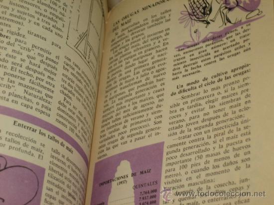 Libros de segunda mano: GUIA AGRICOLA PHILIPS - EDITA PARANINFO - Foto 2