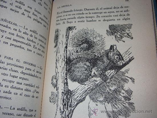 Libros de segunda mano: Lecciones de cosas - Foto 3