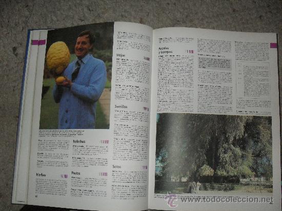 Libros de segunda mano: LIBRO GUINNESS  DE LOS RECORDS 1.990,  EDITADO POR PHILIPS - Foto 4