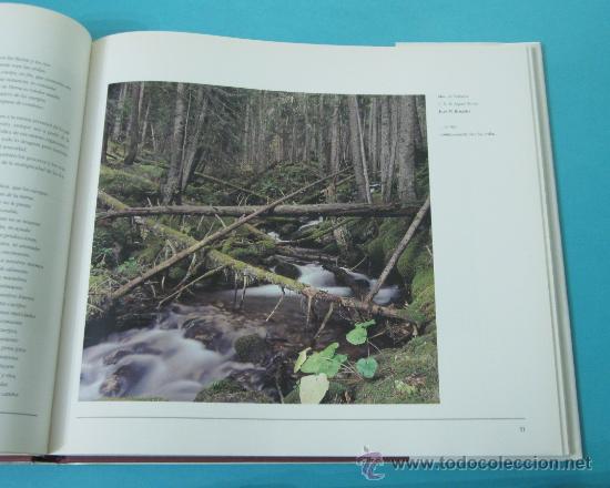 Libros de segunda mano: ESCRITORES DE LA NATURALEZA. JOAQU&Iacute;N ARA&Uacute;JO. - Foto 3
